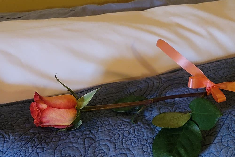 A pink rose with a ribbon rests on a folded blue quilt.