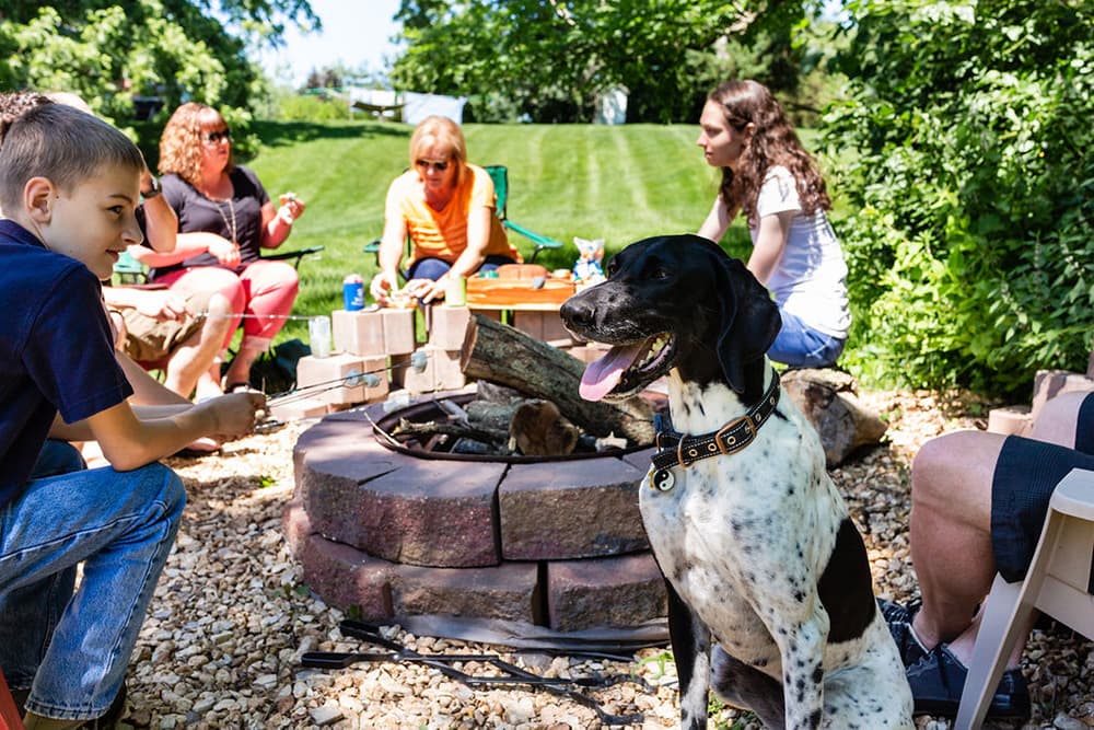 A child roasts marshmallows by a campfire while a dog sits nearby, surrounded by a group of people enjoying a sunny day outdoors.