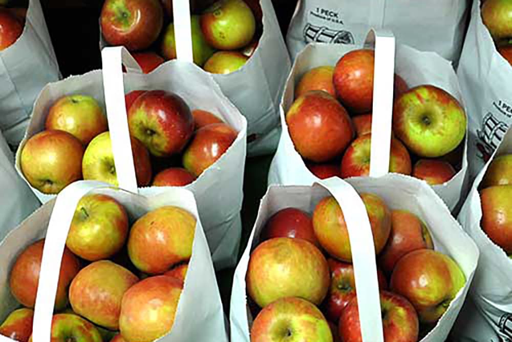 Bags filled with various apples are stacked together.