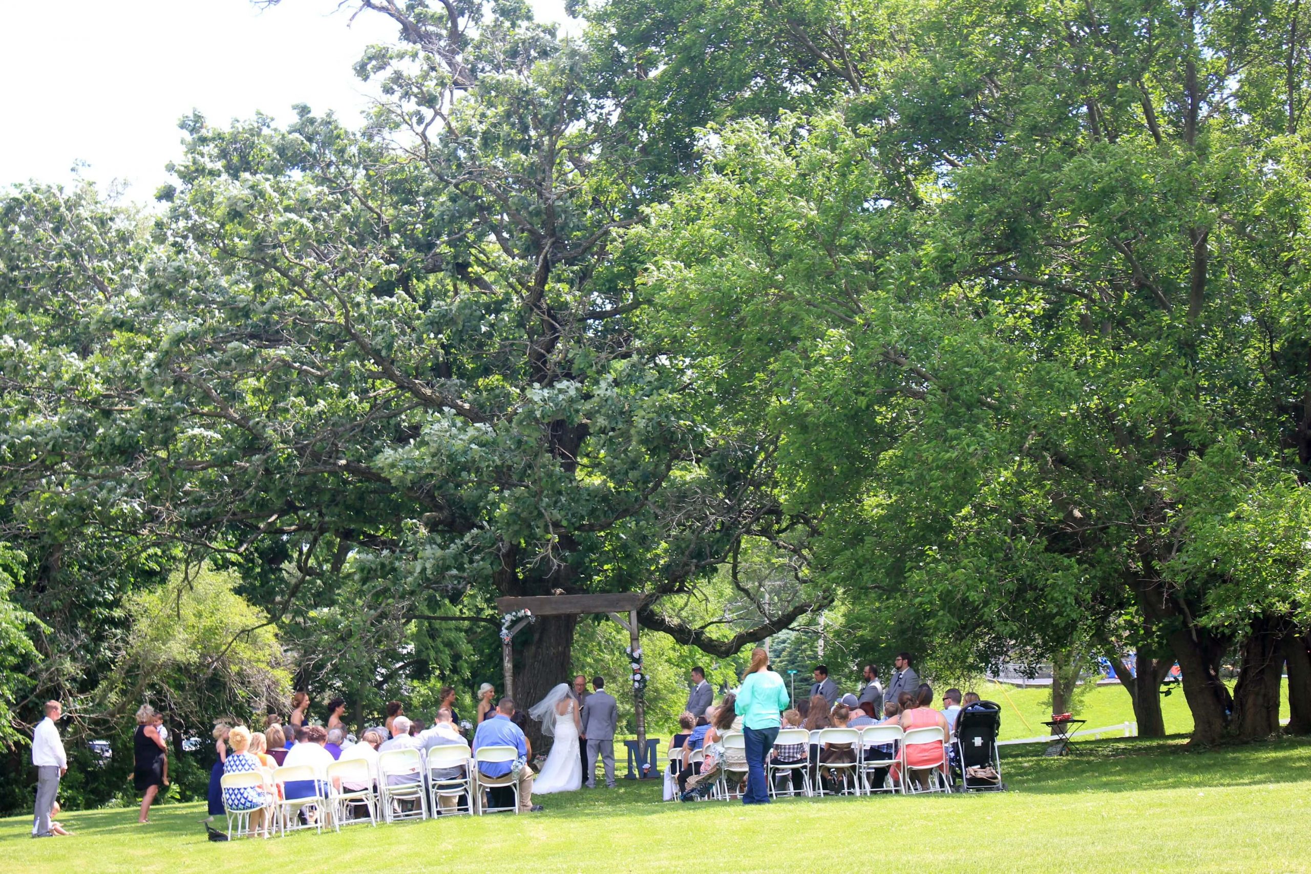 Wedding Ceremony 80 Guests East Burr Oak Tree