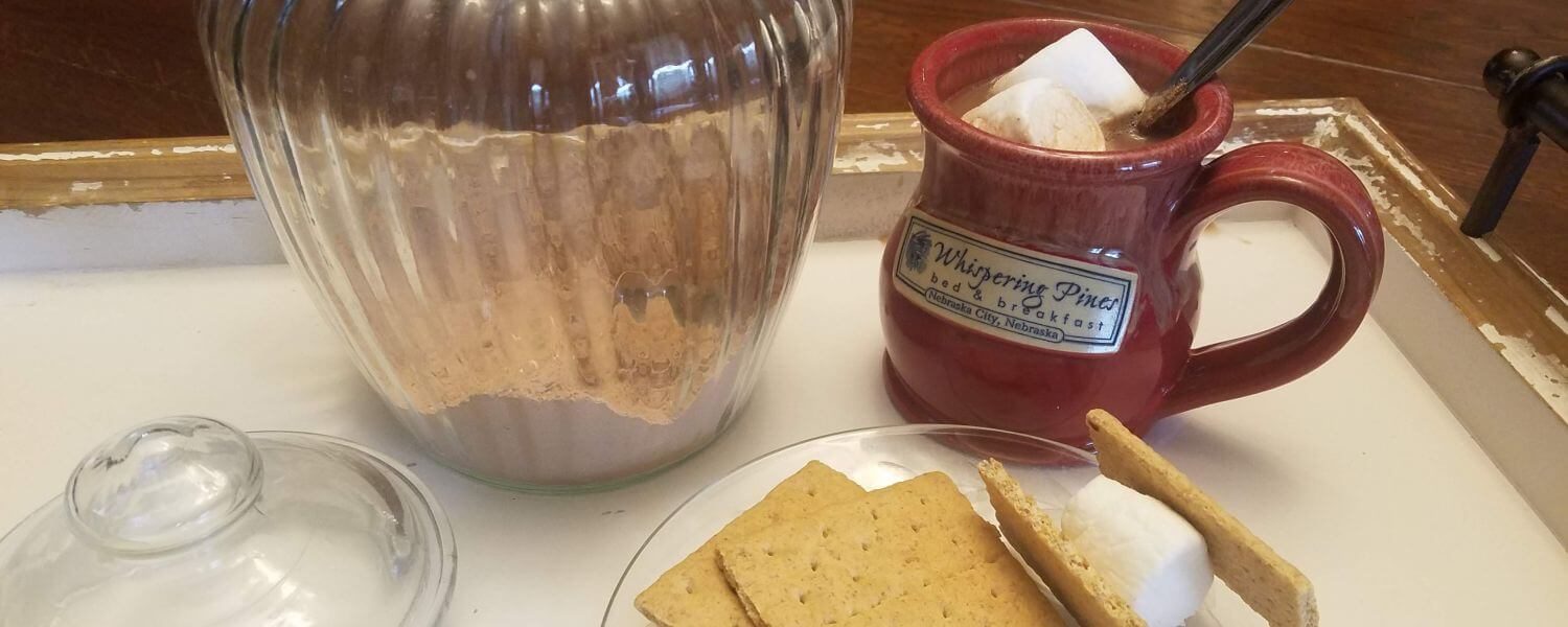 Summertime Hot Cocoa with graham crackers and marshmallows